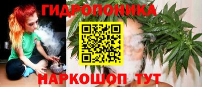 гидра Краснознаменск