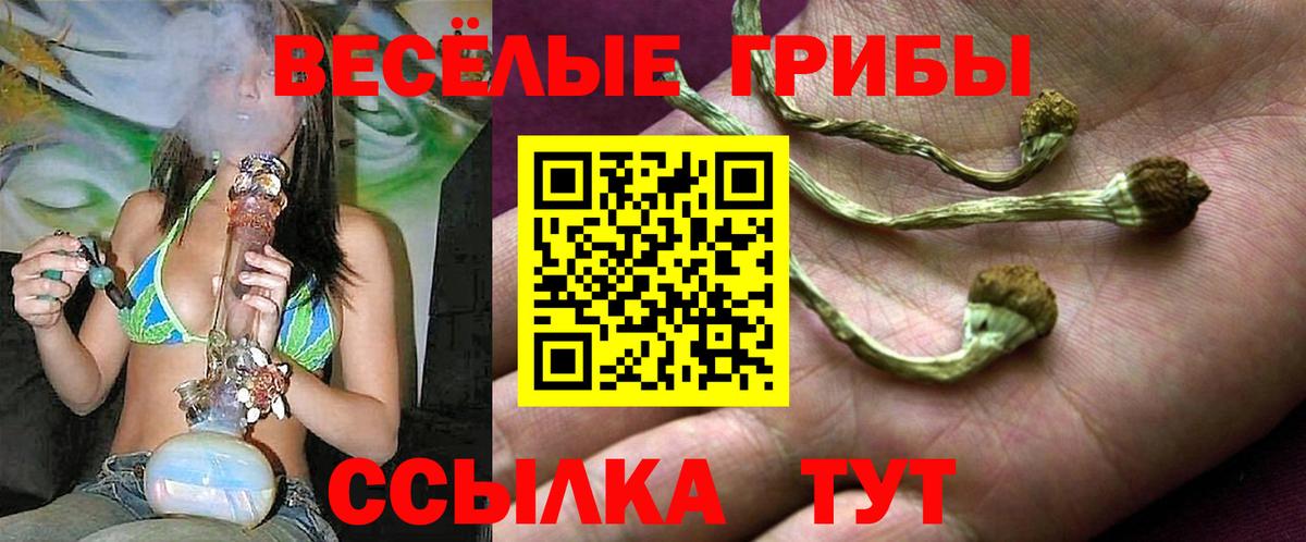 Галлюциногенные грибы Magic Shrooms  Вход с VPN  Норильск 